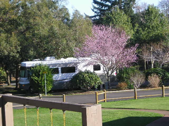 37182media4cbaddf8-f946-4fab-8056-f8de9bf0d14c